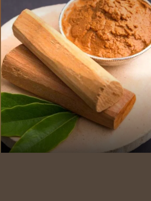 lal chandan wood